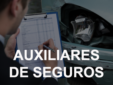 Auxiliares de seguros