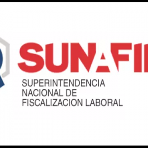 Curso Sunafil